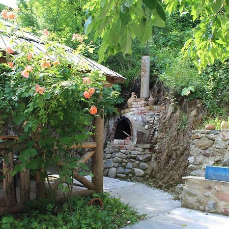Nikala'S House Hotel Borjomi Ngoại thất bức ảnh