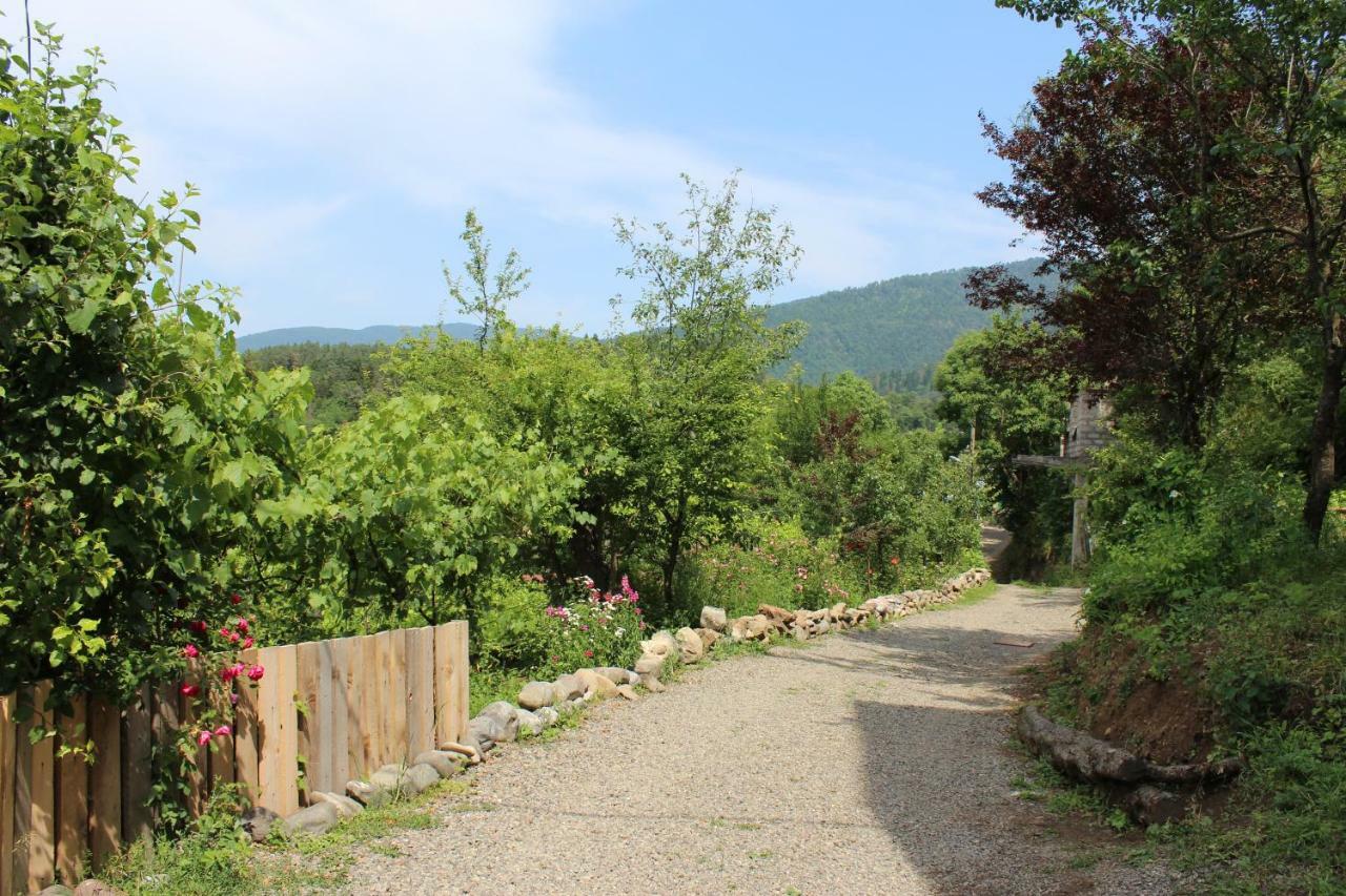 Nikala'S House Hotel Borjomi Ngoại thất bức ảnh