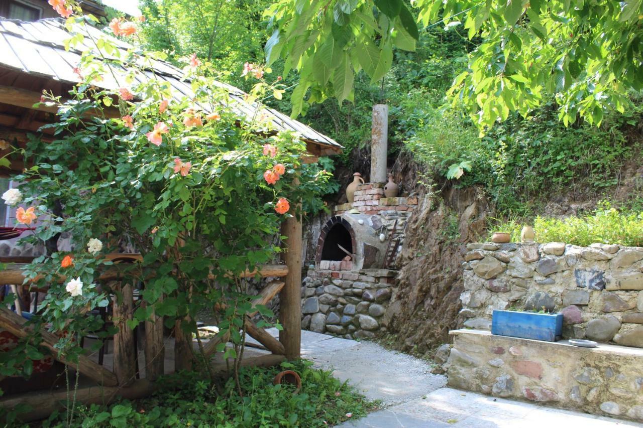 Nikala'S House Hotel Borjomi Ngoại thất bức ảnh