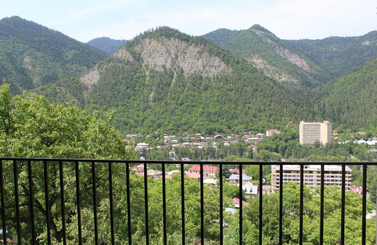 Nikala'S House Hotel Borjomi Ngoại thất bức ảnh