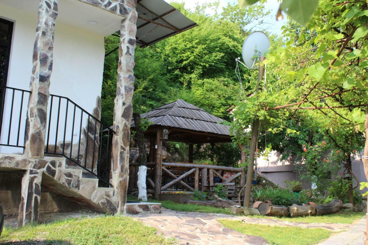 Nikala'S House Hotel Borjomi Ngoại thất bức ảnh