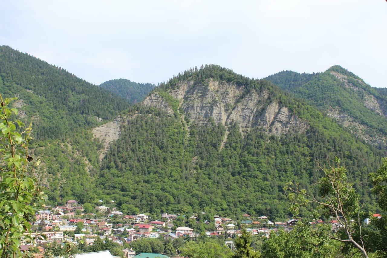 Nikala'S House Hotel Borjomi Ngoại thất bức ảnh